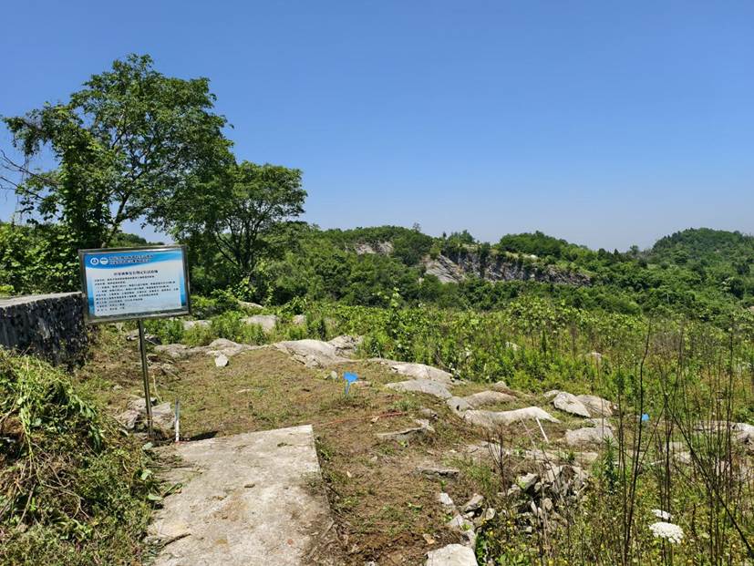 员工的劳动使杂草丛生的荒地焕然一新