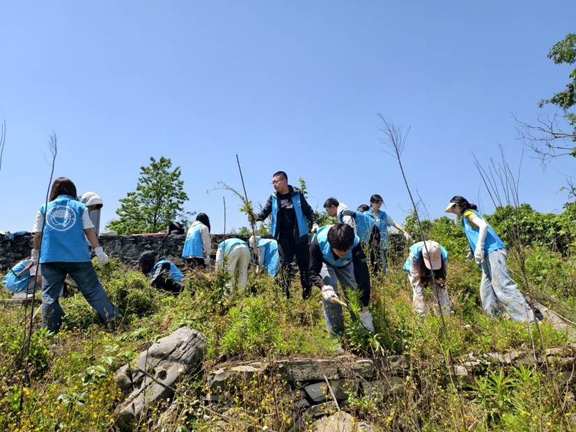 bw西汉姆联员工在石漠化严重的撂荒地开展劳动2
